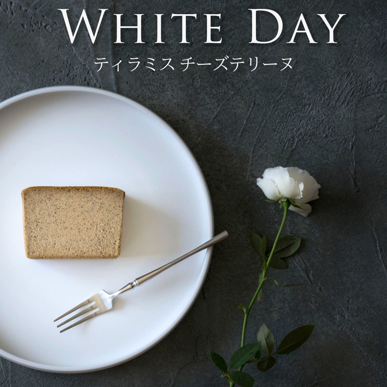 ティラミスチーズテリーヌ