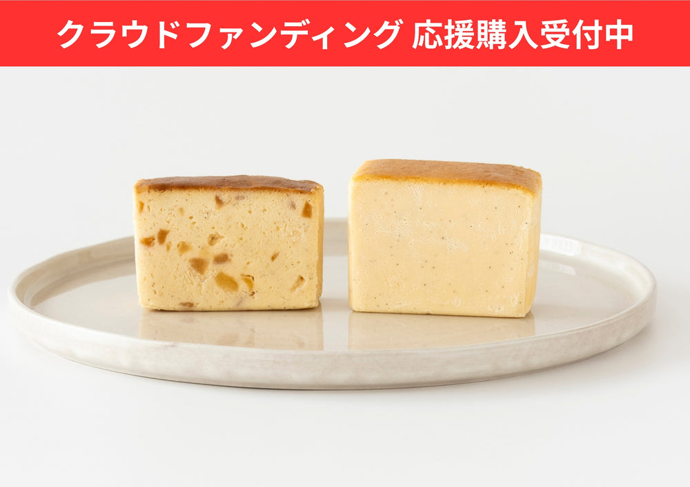 Classic cheese terrine